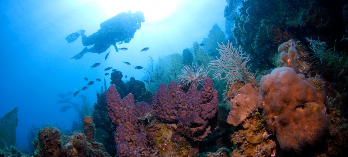 SPYGLASS WALL BVI DIVE MAP