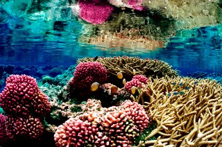 inganess bay, inganess bay bvi