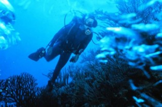 BVI DIVE MAP | List of scuba diving sites in the British Virgin Islands